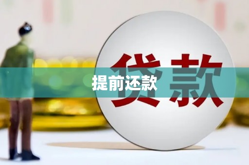 习水提前还款