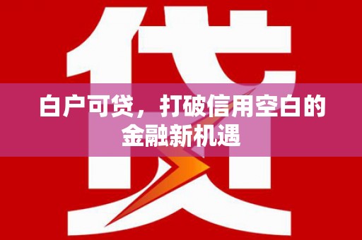 习水白户可贷，打破信用空白的金融新机遇