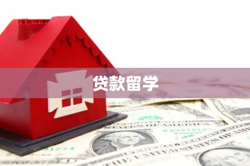 习水贷款留学