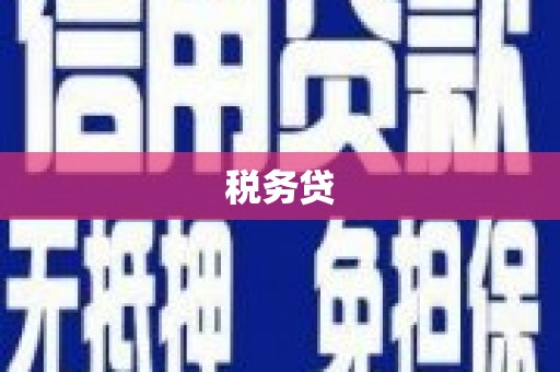 习水税务贷