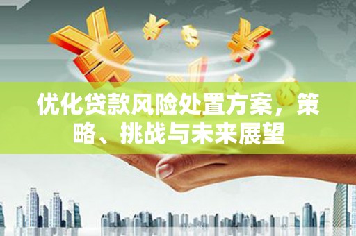 习水优化贷款风险处置方案，策略、挑战与未来展望