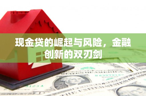 习水现金贷的崛起与风险，金融创新的双刃剑