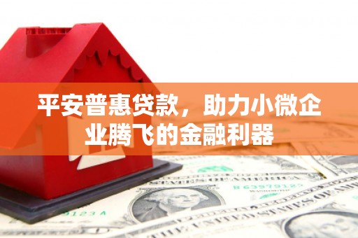 习水平安普惠贷款，助力小微企业腾飞的金融利器