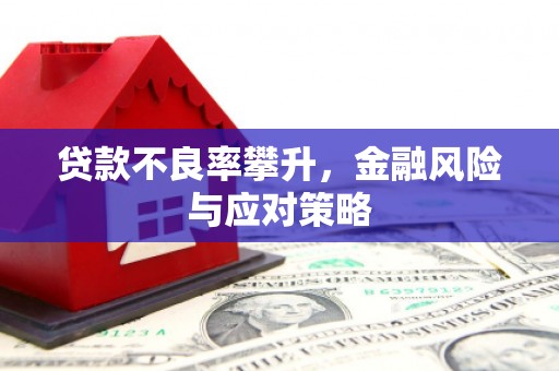 习水贷款不良率攀升，金融风险与应对策略