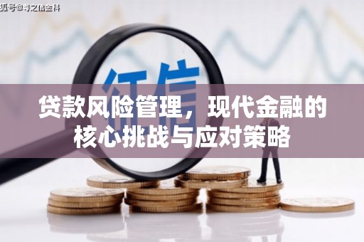习水贷款风险管理，现代金融的核心挑战与应对策略