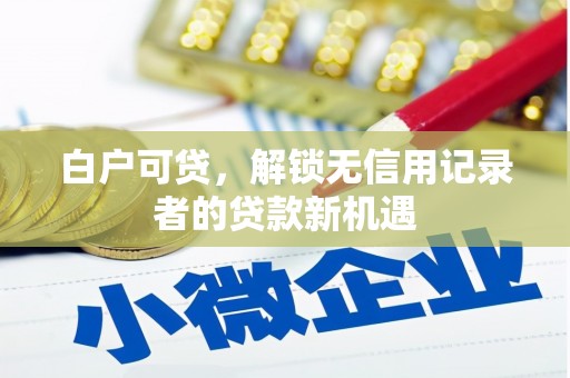 习水白户可贷，解锁无信用记录者的贷款新机遇