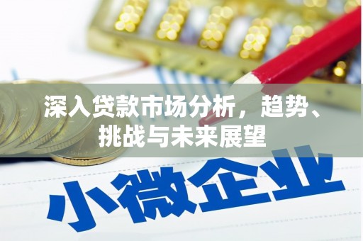 习水深入贷款市场分析，趋势、挑战与未来展望
