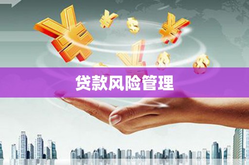 习水贷款风险管理