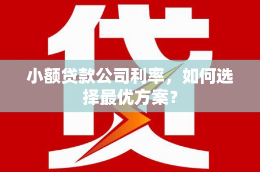 习水小额贷款公司利率，如何选择最优方案？