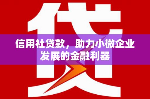 习水信用社贷款，助力小微企业发展的金融利器