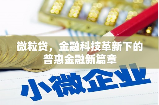 习水微粒贷，金融科技革新下的普惠金融新篇章