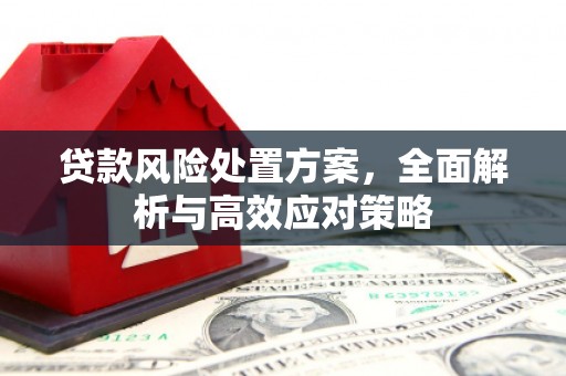 习水贷款风险处置方案，全面解析与高效应对策略