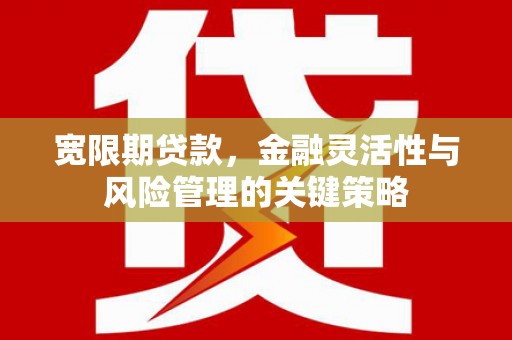 习水宽限期贷款，金融灵活性与风险管理的关键策略