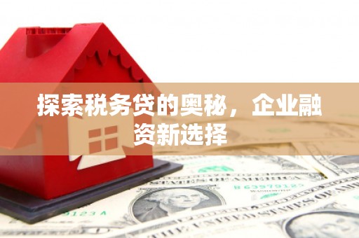 习水探索税务贷的奥秘，企业融资新选择