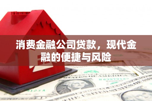 习水消费金融公司贷款，现代金融的便捷与风险