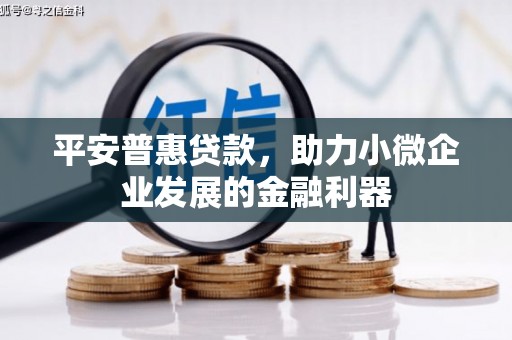 习水平安普惠贷款，助力小微企业发展的金融利器