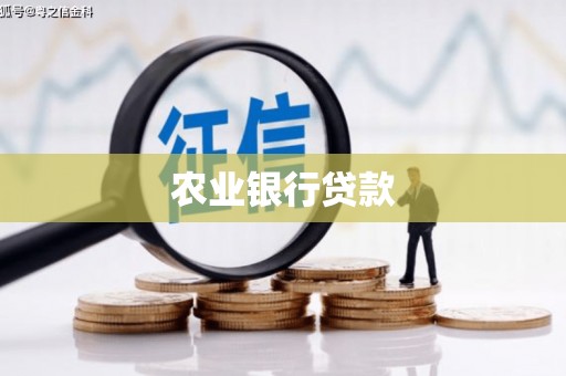 习水农业银行贷款