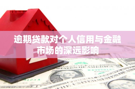 习水逾期贷款对个人信用与金融市场的深远影响