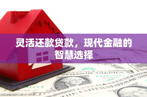 习水灵活还款贷款，现代金融的智慧选择