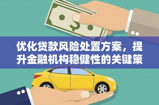 习水优化贷款风险处置方案，提升金融机构稳健性的关键策略
