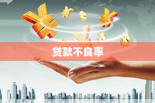 习水贷款不良率
