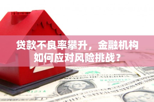 习水贷款不良率攀升，金融机构如何应对风险挑战？