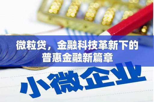 习水微粒贷，金融科技革新下的普惠金融新篇章