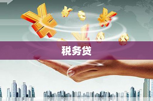 习水税务贷