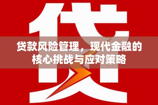 习水贷款风险管理，现代金融的核心挑战与应对策略
