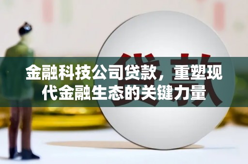 习水金融科技公司贷款，重塑现代金融生态的关键力量