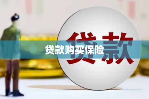 习水贷款购买保险