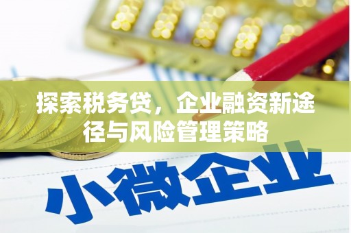 习水探索税务贷，企业融资新途径与风险管理策略