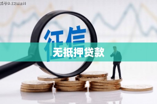 习水无抵押贷款