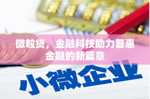 习水微粒贷，金融科技助力普惠金融的新篇章