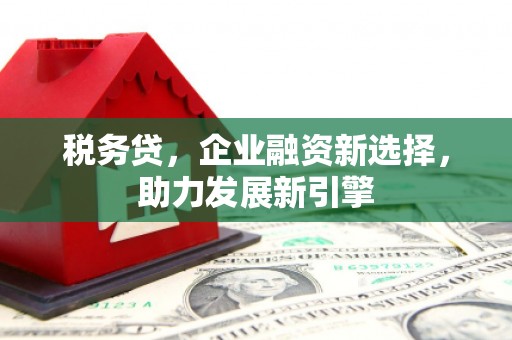 习水税务贷，企业融资新选择，助力发展新引擎