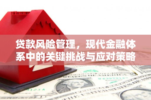 习水贷款风险管理，现代金融体系中的关键挑战与应对策略