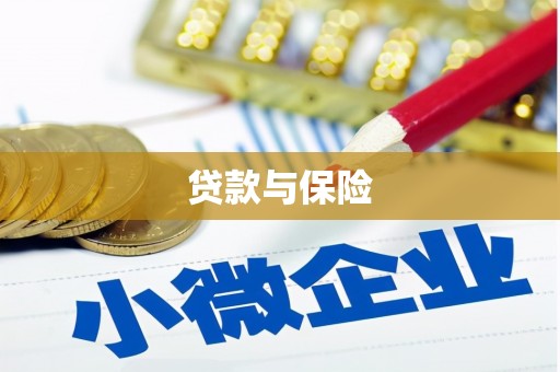 习水贷款与保险