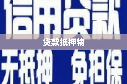 习水贷款抵押物
