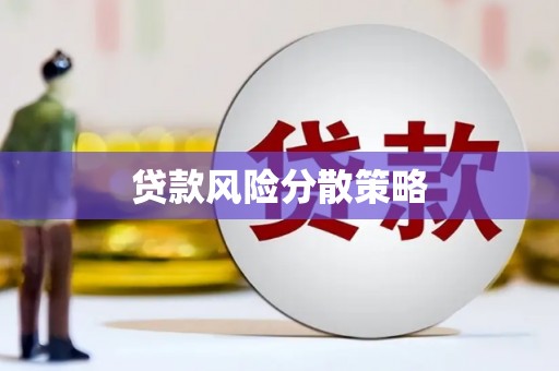 习水贷款风险分散策略