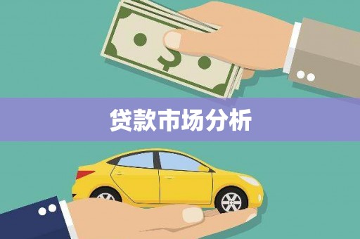 习水贷款市场分析