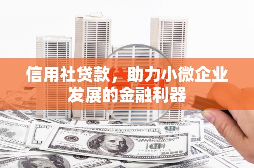 习水信用社贷款，助力小微企业发展的金融利器