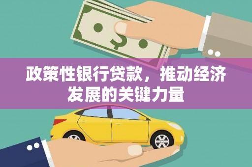 习水政策性银行贷款，推动经济发展的关键力量