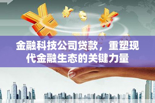 习水金融科技公司贷款，重塑现代金融生态的关键力量