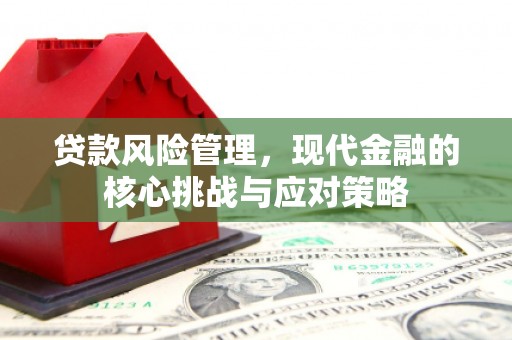 习水贷款风险管理，现代金融的核心挑战与应对策略