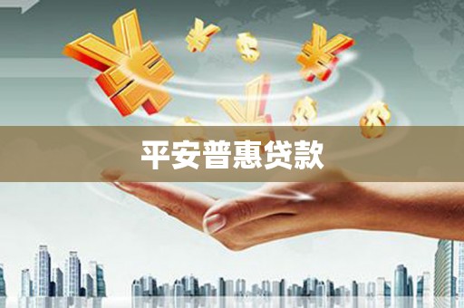 习水平安普惠贷款