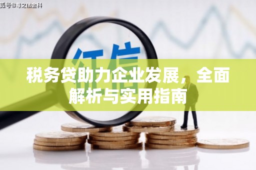 习水税务贷助力企业发展，全面解析与实用指南