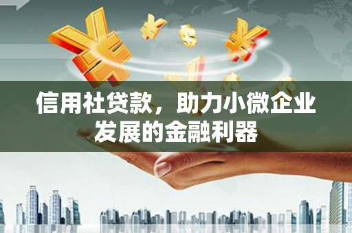 习水信用社贷款，助力小微企业发展的金融利器