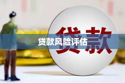 习水贷款风险评估
