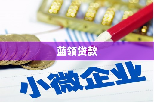 习水蓝领贷款