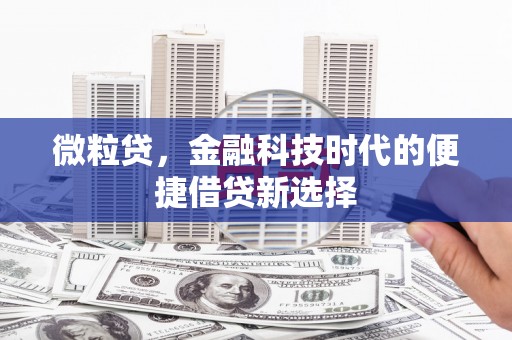 习水微粒贷，金融科技时代的便捷借贷新选择